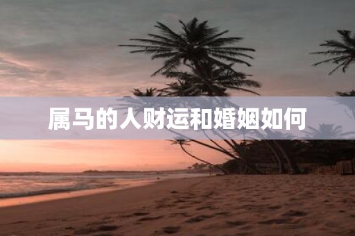 属马的人财运和婚姻如何
