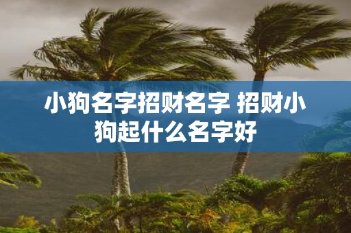 小狗名字招财名字 招财小狗起什么名字好