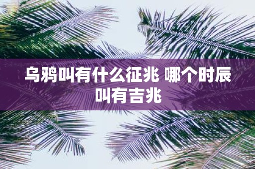 乌鸦叫有什么征兆 哪个时辰叫有吉兆