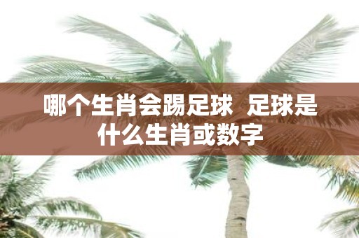 哪个生肖会踢足球 足球是什么生肖或数字