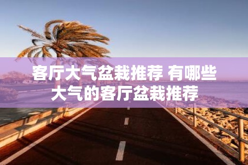 客厅大气盆栽推荐 有哪些大气的客厅盆栽推荐