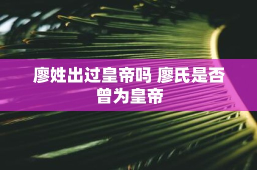 廖姓出过皇帝吗 廖氏是否曾为皇帝