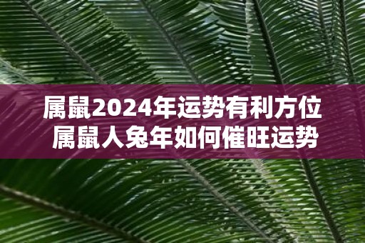 属鼠2025年运势有利方位 属鼠人蛇年如何催旺运势