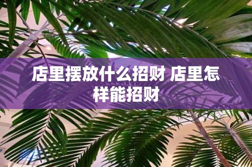 店里摆放什么招财 店里怎样能招财