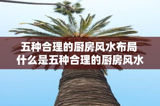 五种合理的厨房风水布局 什么是五种合理的厨房风水布局