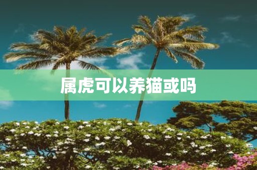 属虎可以养猫或吗