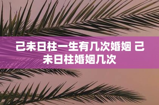 己未日柱一生有几次婚姻 己未日柱婚姻几次