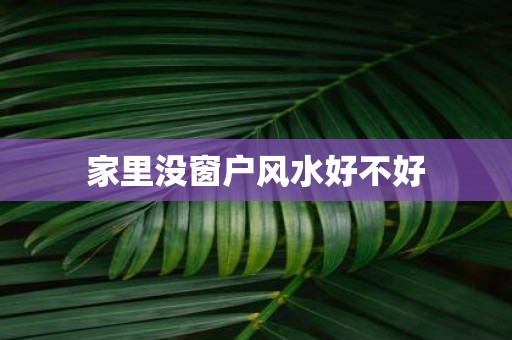 家里没窗户风水好不好
