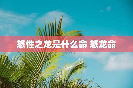 怒性之龙是什么命 怒龙命