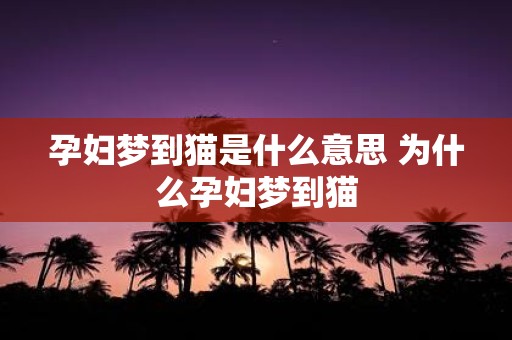 孕妇梦到猫是什么意思 为什么孕妇梦到猫