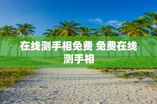 在线测手相免费 免费在线测手相