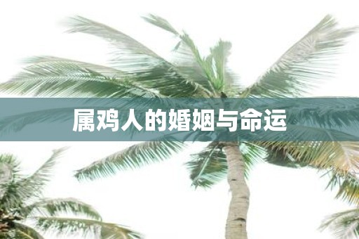 属鸡人的婚姻与命运