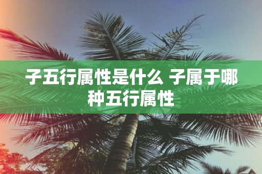 子五行属性是什么 子属于哪种五行属性
