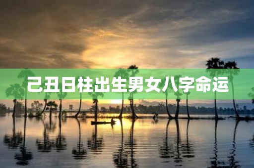 己丑日柱出生男女八字命运