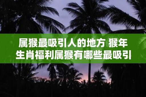 属猴最吸引人的地方 猴年生肖福利属猴有哪些最吸引人的特点