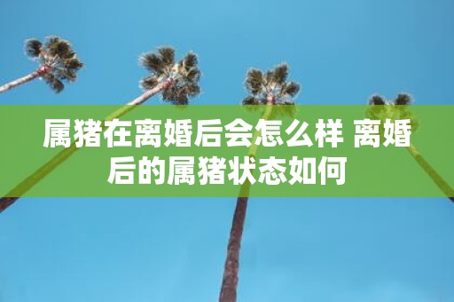 属猪在离婚后会怎么样 离婚后的属猪状态如何