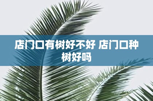 店门口有树好不好 店门口种树好吗