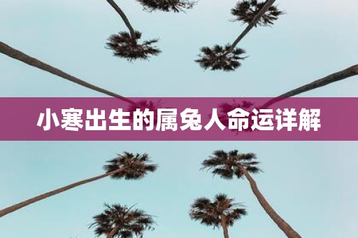 小寒出生的属兔人命运详解