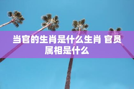 当官的生肖是什么生肖 官员属相是什么