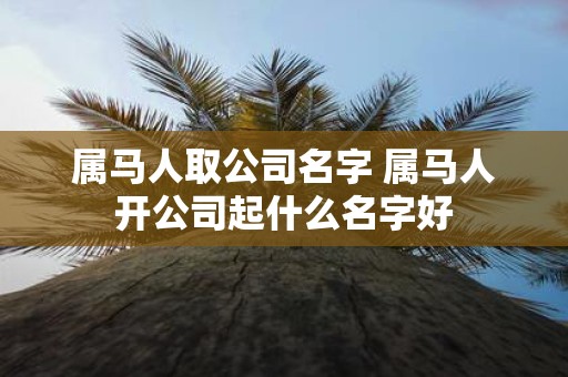 属马人取公司名字 属马人开公司起什么名字好