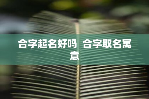合字起名好吗 合字取名寓意
