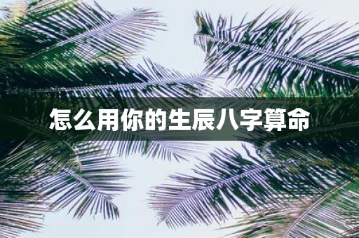 怎么用你的生辰八字算命