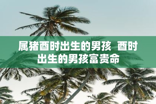 属猪酉时出生的男孩 酉时出生的男孩富贵命