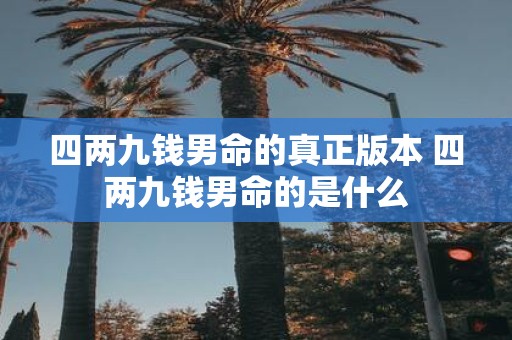 四两九钱男命的真正版本 四两九钱男命的是什么