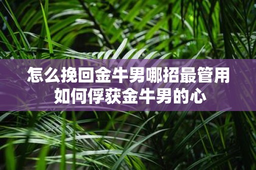 怎么挽回金牛男哪招最管用 如何俘获金牛男的心