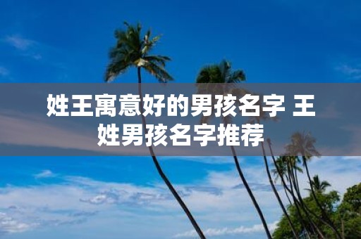 姓王寓意好的男孩名字 王姓男孩名字推荐