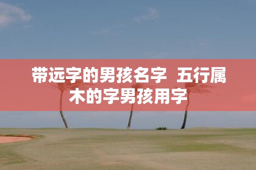 带远字的男孩名字 五行属木的字男孩用字