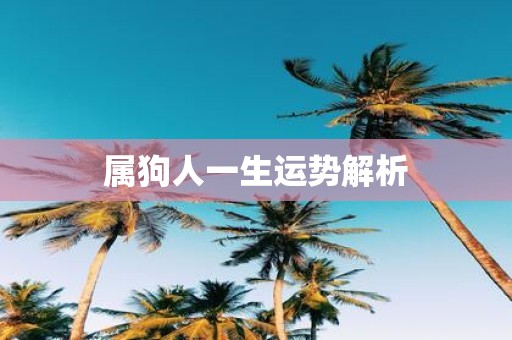 属狗人一生运势解析
