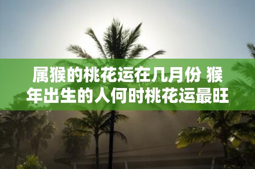 属猴的桃花运在几月份 猴年出生的人何时桃花运最旺