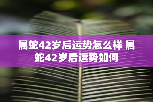 属蛇42岁后运势怎么样 属蛇42岁后运势如何