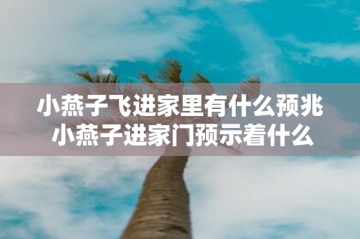 小燕子飞进家里有什么预兆 小燕子进家门预示着什么