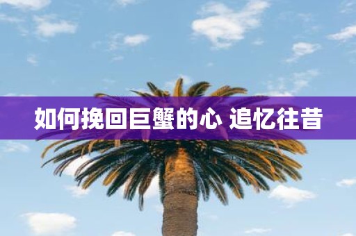 如何挽回巨蟹的心 追忆往昔