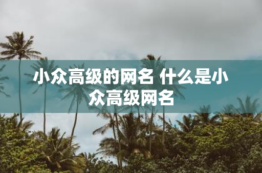 小众高级的网名 什么是小众高级网名