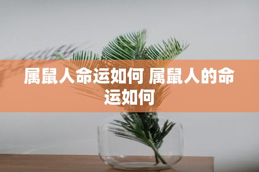 属鼠人命运如何 属鼠人的命运如何