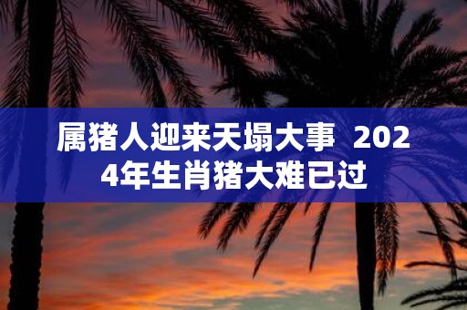 属猪人迎来天塌大事 2025年生肖猪大难已过