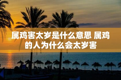 属鸡害太岁是什么意思 属鸡的人为什么会太岁害