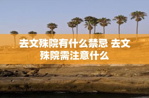 去文殊院有什么禁忌 去文殊院需注意什么