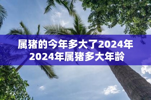 属猪的今年多大了2025年 2025年属猪多大年龄