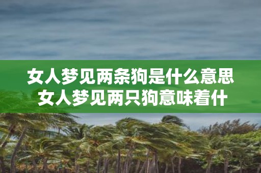 女人梦见两条狗是什么意思 女人梦见两只狗意味着什么