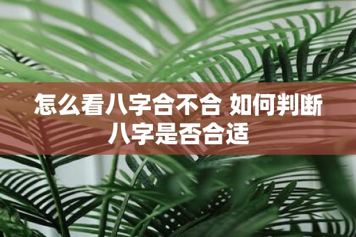 怎么看八字合不合 如何判断八字是否合适
