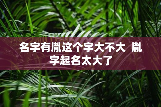 名字有胤这个字大不大 胤字起名太大了