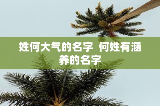 姓何大气的名字 何姓有涵养的名字