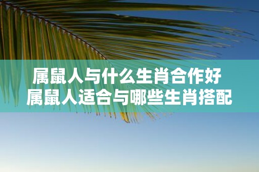 属鼠人与什么生肖合作好 属鼠人适合与哪些生肖搭配