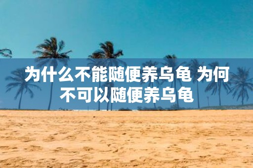 为什么不能随便养乌龟 为何不可以随便养乌龟