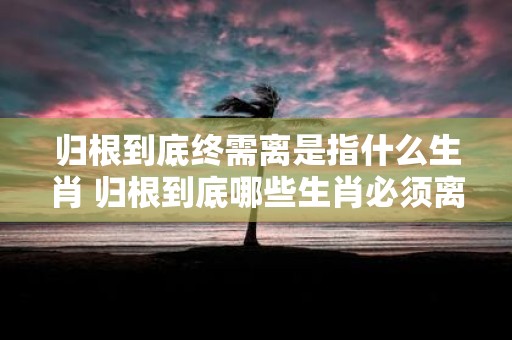 归根到底终需离是指什么生肖 归根到底哪些生肖必须离开