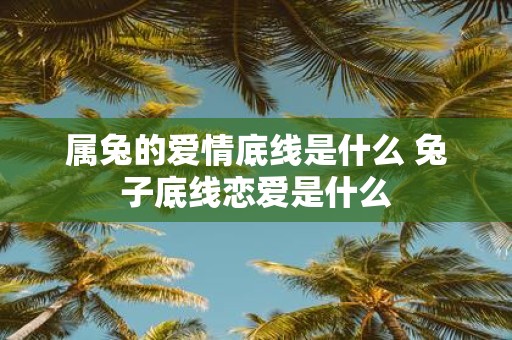 属兔的爱情底线是什么 兔子底线恋爱是什么